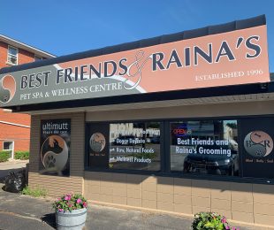 Commercial Awning